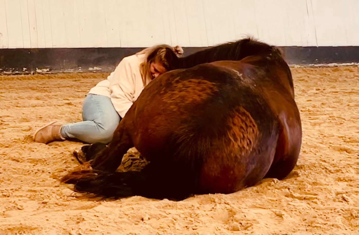 paardencoaching opleidingen
