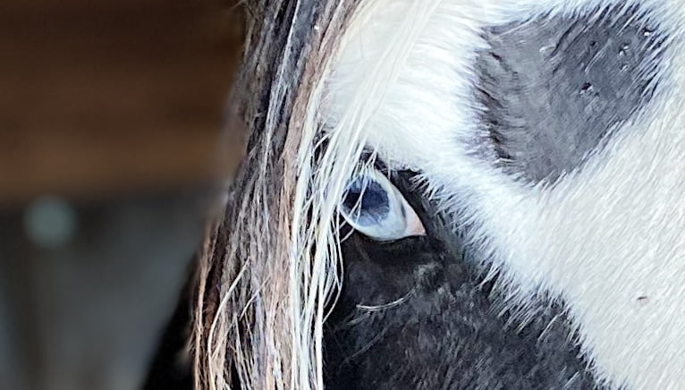 Denken in oplossingen