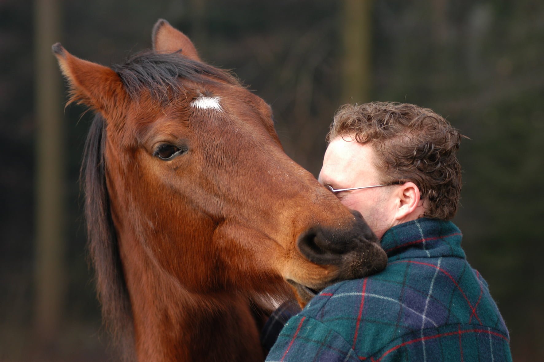 Harmonisatiebeginsel